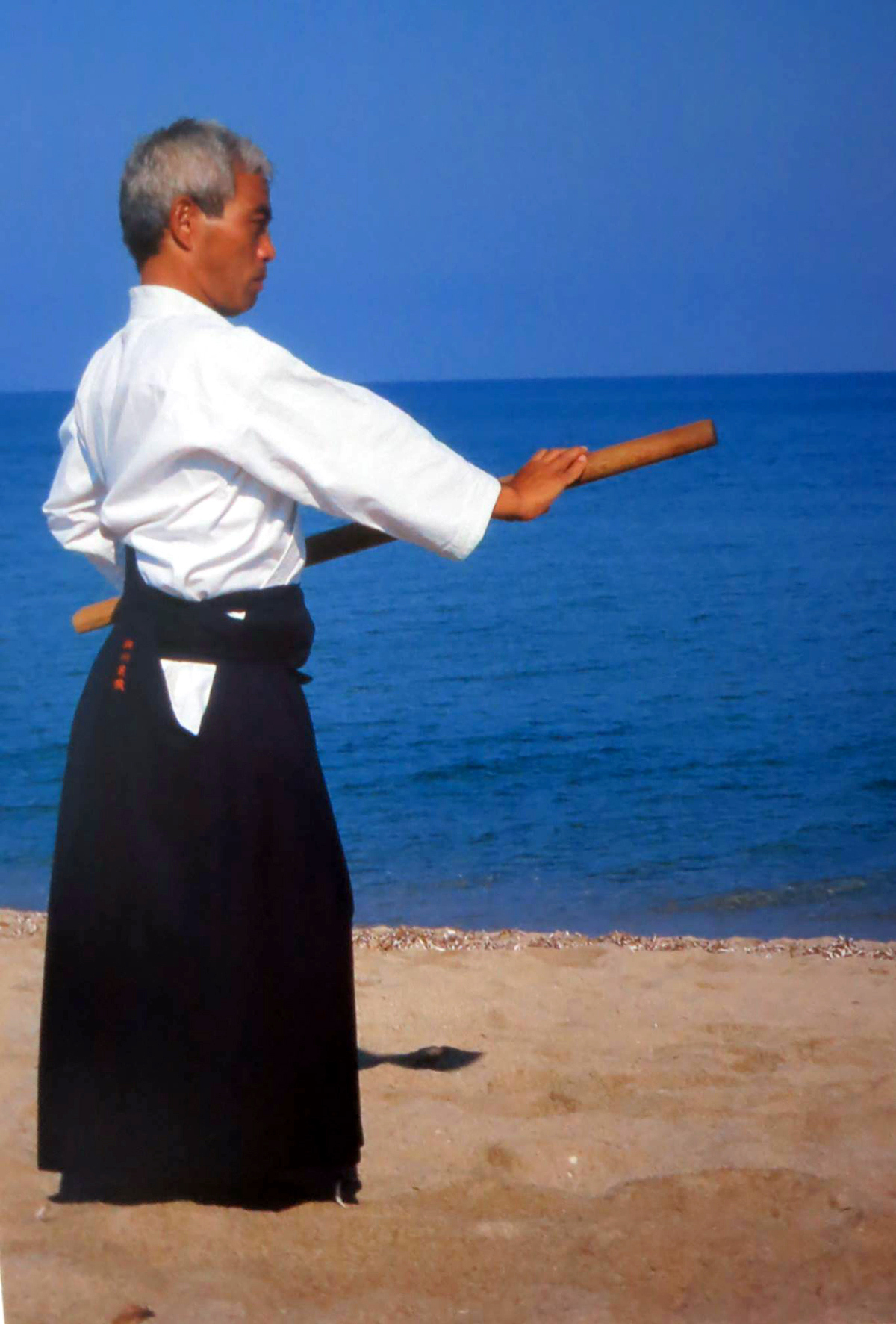 Maestro Hosokawa Hideki