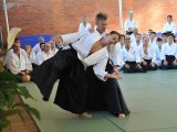 06-Foglietta